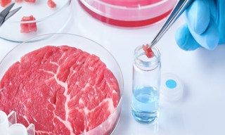 Лабораторный анализ пищевых продуктов по СанПиН в Кирове-Чепецке в октябре