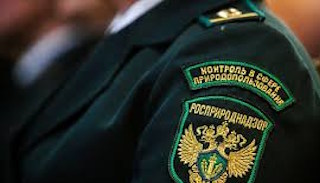 Подготовка к проверке Росприроднадзора в Кирове-Чепецке от ПромМир, стоимость услуги от 21748 руб.